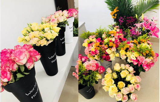 1520932858126659.png 1.png